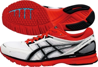 TJL413�FLYTERACER&reg; RS