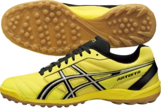 TST500�FARTISTA&reg;WD5