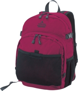 UCB132�F�^���X�u���o&reg;�f�C�p�b�N25