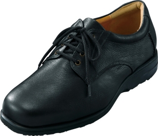 WP411E