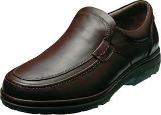 WPV216