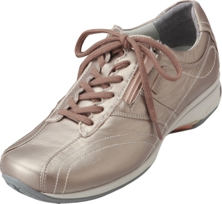 WS264B