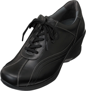 WS266B