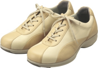 WS364C