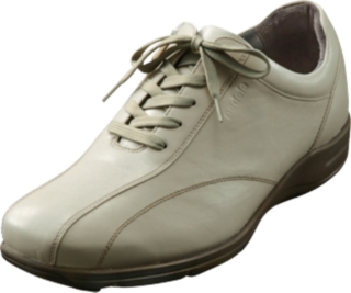 WS403C