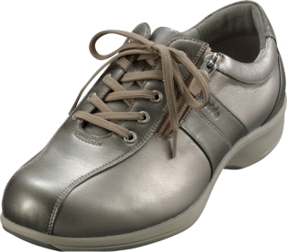 WS453D