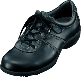 WS659D