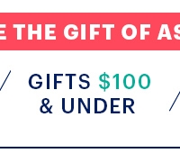 Gifts $100 and Under