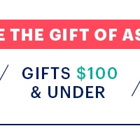 Gifts $100 and Under