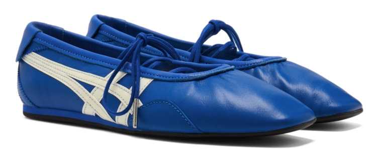Asics Shoe 2