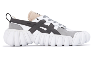 箱付きですOnitsuka Tiger DENTIGRE LS  23.5cm