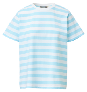 WS TEE