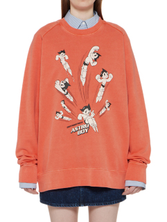 WASHED SWEAT TOP
