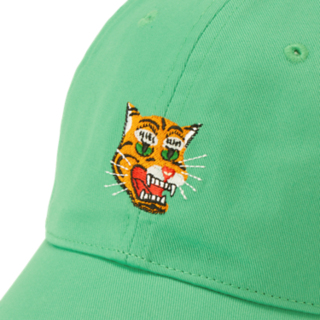 Zoom Image Green CAP Zoom logo View