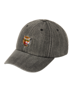 WASHED DENIM CAP
