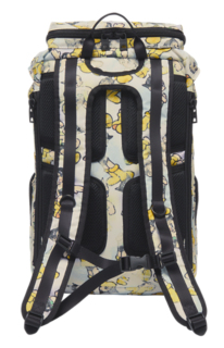 BACK PACK