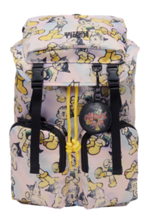 SMALL BACK PACK