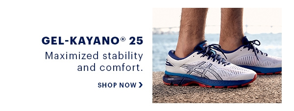 GEL-Kayano 25
