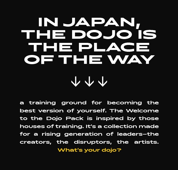 What's your Dojo?
