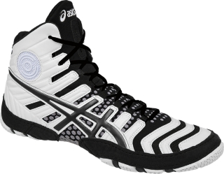 dan gable ultimate 4