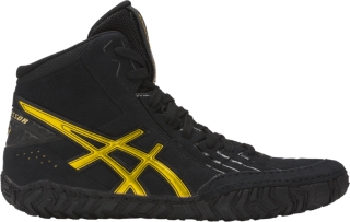 asic aggressors